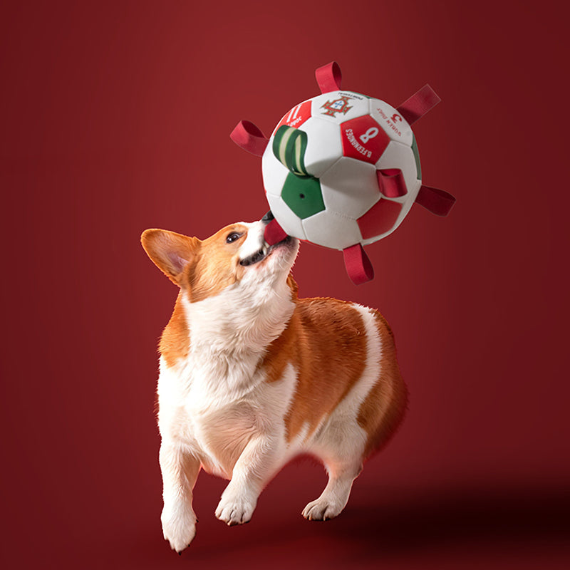 Portugal FPF Pet Soccer Ball Tug Toy